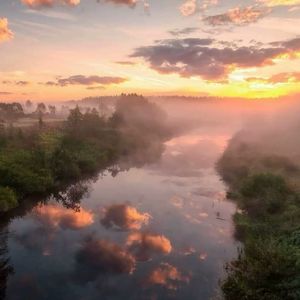 安娜的橱窗-吉他