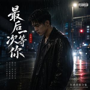 雪落无声》 (Silent Falling Snow)