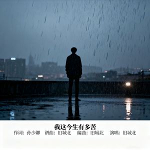 我这今生有多苦