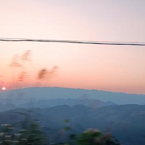 夏天的风（live）