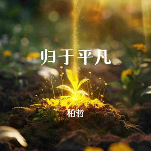 归于平凡