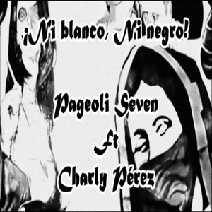 ¡Ni Blanco, Ni Negro!