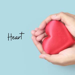 Heart