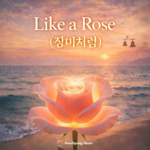 Like a Rose (장미처럼)