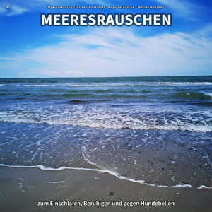 Besinnliche Meereswellen