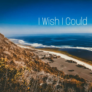 I Wish I Could