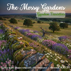 Susan's Song (This Ain't No Teary Birthday Song)