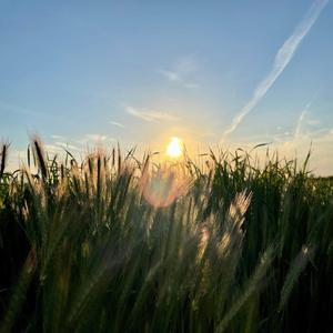 Light Beings (Instrumental)