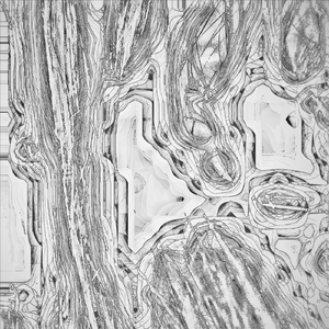 Speleothem