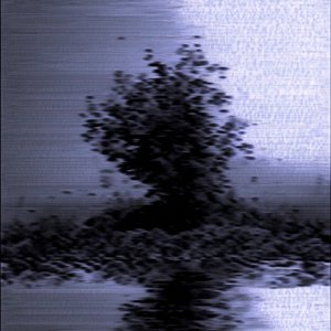 Shadow In The Glow (Hoodtrap)