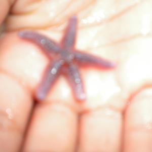 sea change