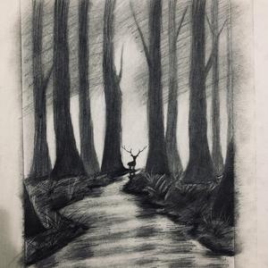 Carnation（Prod EVOMUSIC&Lan唐鉴澜）