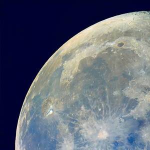 晚期拖延症患者