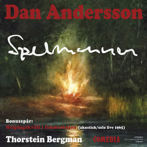 Helgdagskväll i timmerkojan