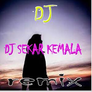 DJ chica Loca Full Bass