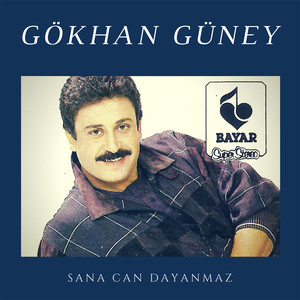 Gittiğine Değdi Mi