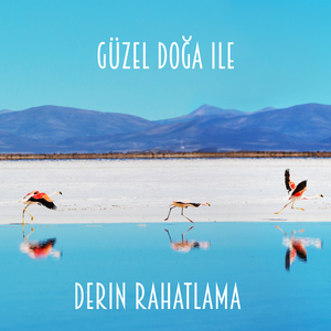 Doğanın Muhteşem Sesleri