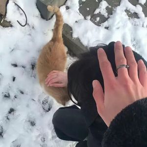 零几年听的情歌