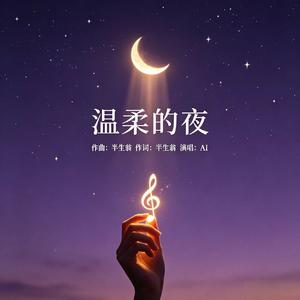 温柔的夜 (原版)