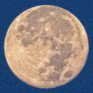 Sverchok