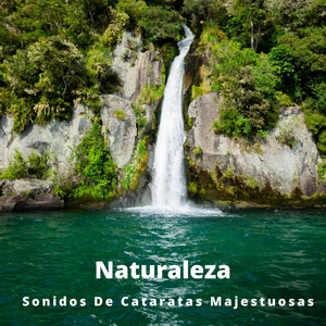 Arroyos