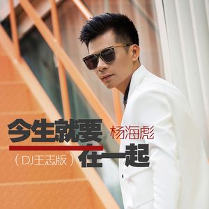今生就要在一起(DJAlex 版)