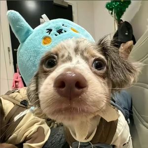 旋律孟菲斯type beat - 起伏