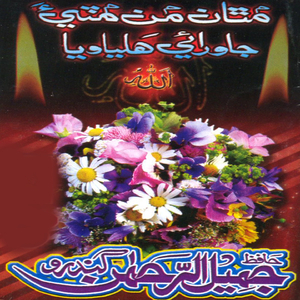 Halay Tunhanji Marzi