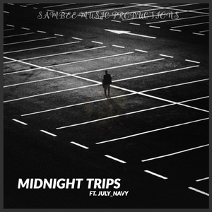 Midnight Trips (feat. July_navy)