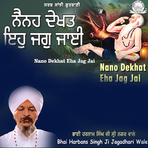 Nano Dekhat Eha Jag Jai