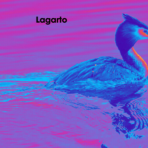 Lagarto