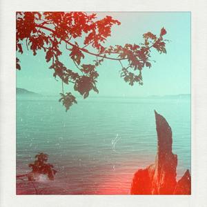 A1 The Sky Has Come Down to You