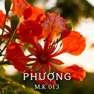 Phượng