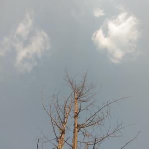 窗外