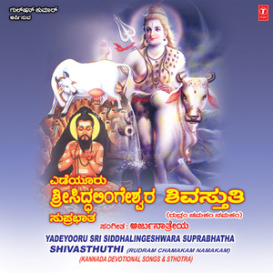 Sivasthuthi(Rudram Chamakam Namakam)