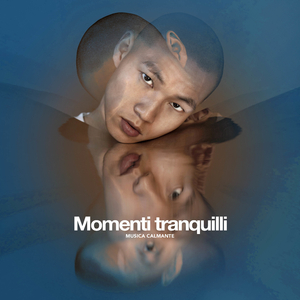 Instrumentista Tranquilidad