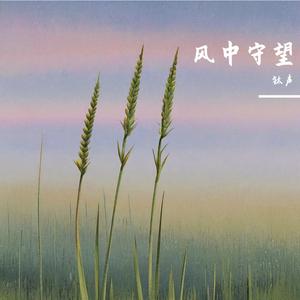 风中守望的狗尾草