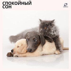 Костяной Сон