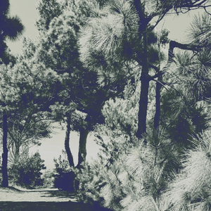 Crystal Heart, This One Is Going to Hurt