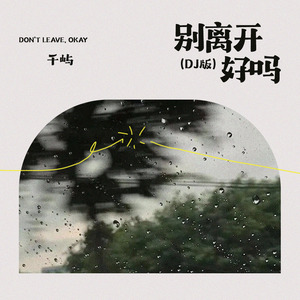 别离开好吗 (DJ版)