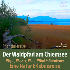 Der Waldpfad am Chiemsee - Eine Natur Erlebnisreise & Abenteuer, männl. Stimme, Teil 11