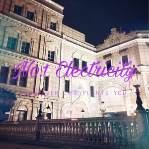 No.2 Electricity (DJ Mr.ResCo Remix)