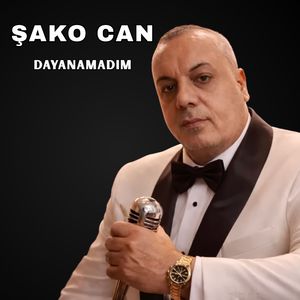 Dayanamadım