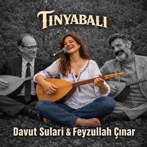 Davut Sulari Feyzullah Çınar Deyişleme Doğaçlama (feat. Davut Sulari & Feyzullah Çınar)