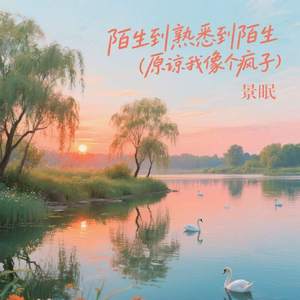 陌生到熟悉到陌生 (原谅我像个疯子)