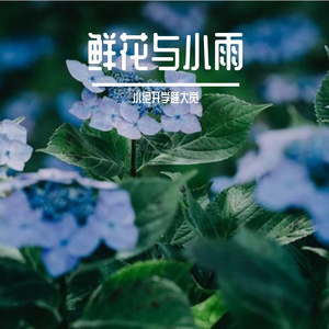 鲜花与小雨（Prod by SCORPION）