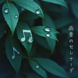 雨音のセレナーデ