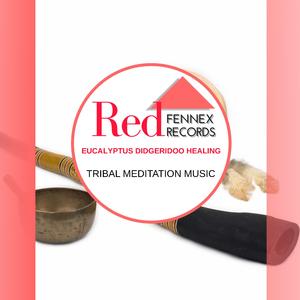 Didgeridoo Meets Orchestra (Tribal Australian)