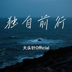 独自前行 (Cover 张岳)