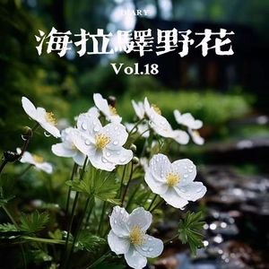 山花（intro）